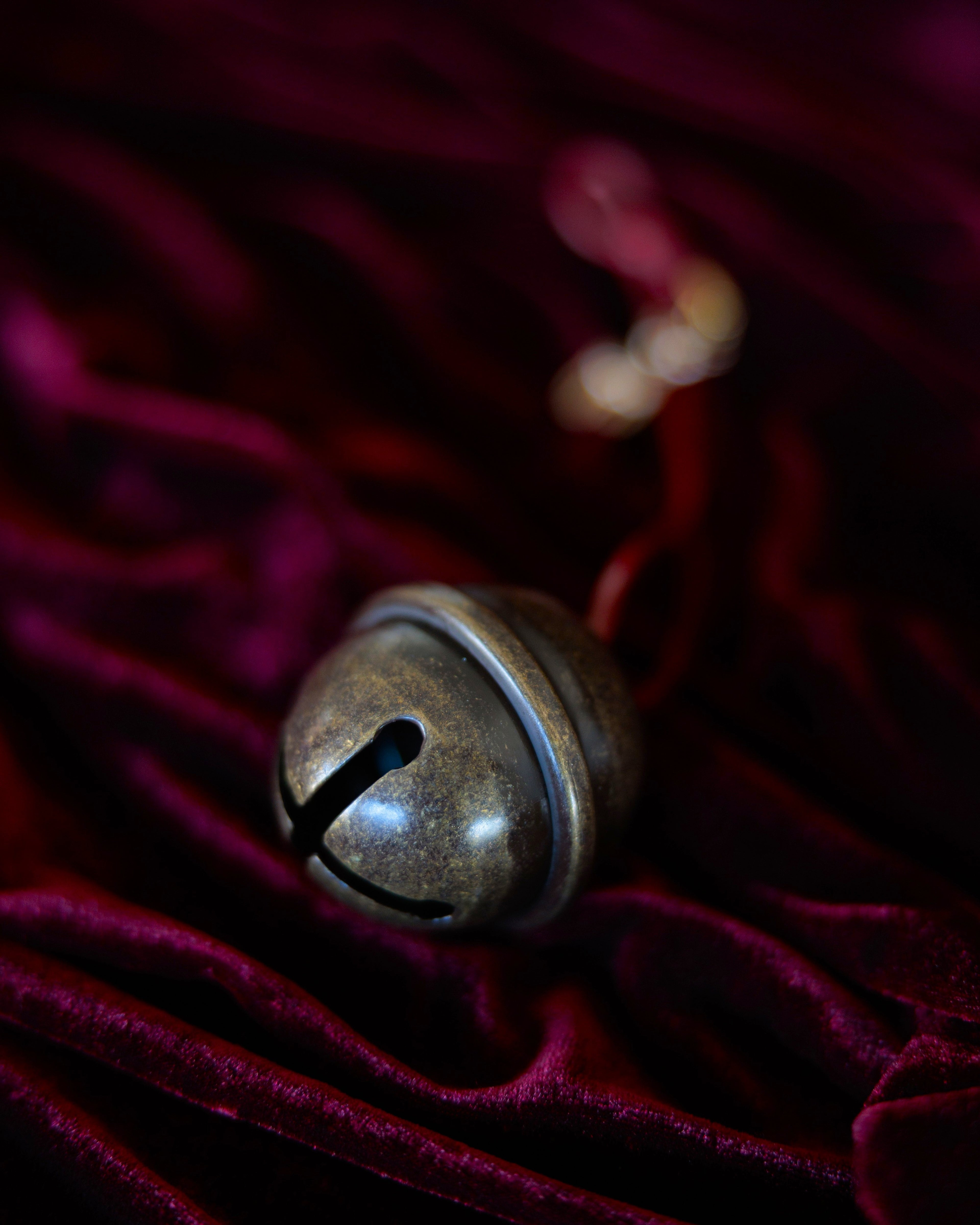 Heirloom Sleigh Bell ~ 'Lost by Rudolph'